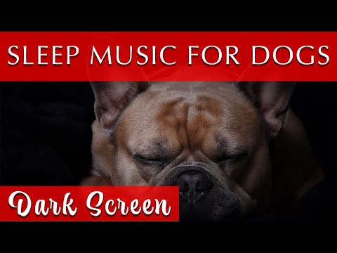 Sleep Music for Dogs Dark Screen [for Humans, too!]