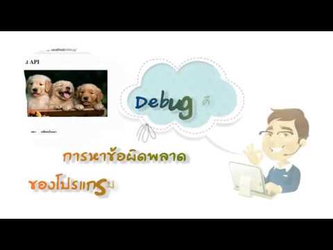 เทคนิคการตรวจสอบความถูกต้องของโปรแกรม(DEBUG PROGRAM)