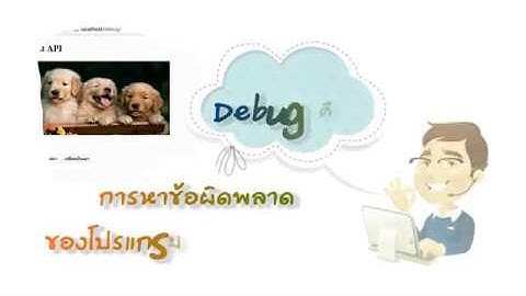 เทคนิคการตรวจสอบความถูกต้องของโปรแกรม(DEBUG PROGRAM)