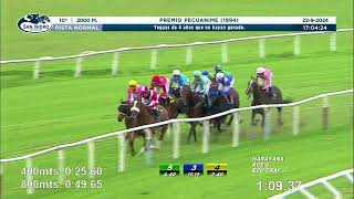 Vidéo de la course PMU PRIX PREMIO PECUANIME 1994