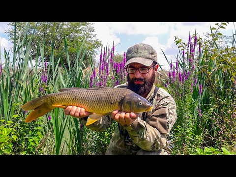 თევზაობა ტივტივით ფიშარეაზე