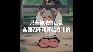 201806 只有佛法修证是　从如如不动开始成功的23355
