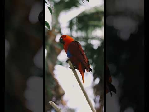 الرزق و البركة اسمع حكمة احد الحكماء