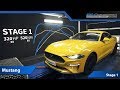 Ford Mustang 2.3T Ecoboost Stage 1 By BR-Performance