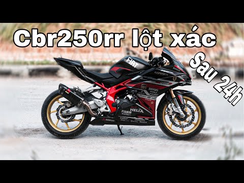 Sau 24H Lột Xác Của CBR 250 RR Thành Công NTN? After 24 hours molting of CBR 250 RR - LLVL Thank You