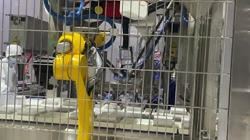 Parallel Robot for Ice Cream Lid Placement | Customized 4-Lid Automation