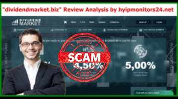dividendmarket.biz" Review Analysis by hyipmonitors24.net