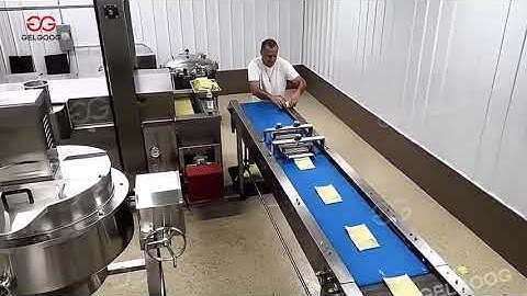 Video Feedback From American Customers On The Spring Roll Production Line