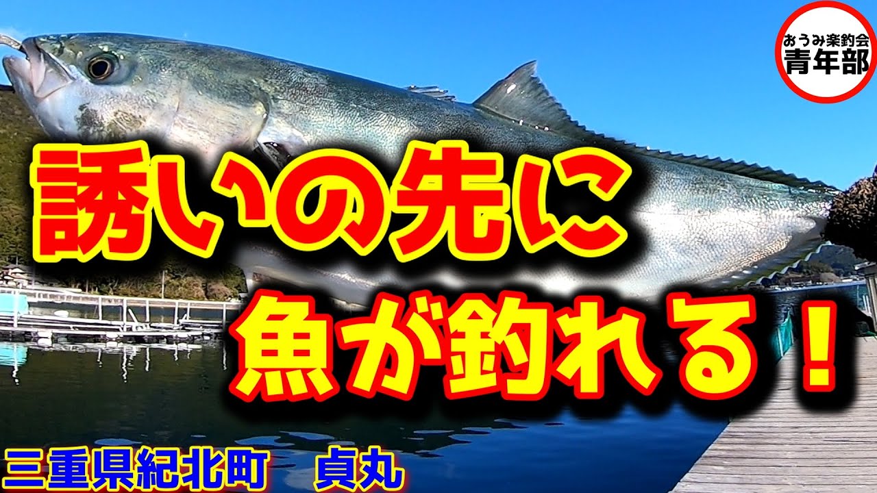 【釣り・海上釣堀】「貞丸」誘って見せる！誘った先に魚が釣れる！