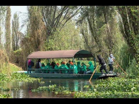 Volunteers join forces to preserve the environment of the emblematic Xochimilco