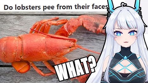 THEY DO WHAT FROM THEIR FACE??? | Vtuber Reacts to "Dumb Questions on Quora"