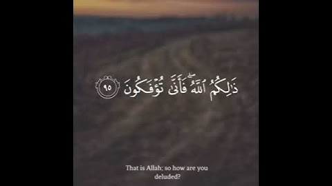 القارئ عبد الله خلف سورة (الانعام)
