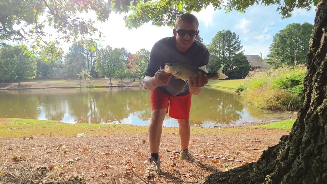  Summer Fishing Hack: The Lipless Crankbait! 