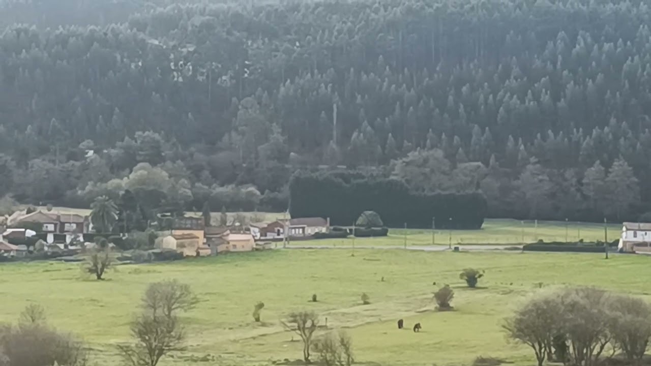 PIEDRAS BLANCAS & PRADOS VERDES 🚂🚃