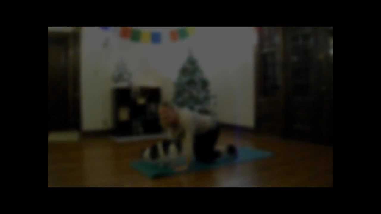 Kitty Yoga handstand push up