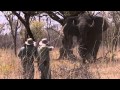 An Elephant Attack on a Man in funny style