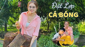 Đặt Lợp Cá Bóng Dừa Trúng Ổ Cá Lớn