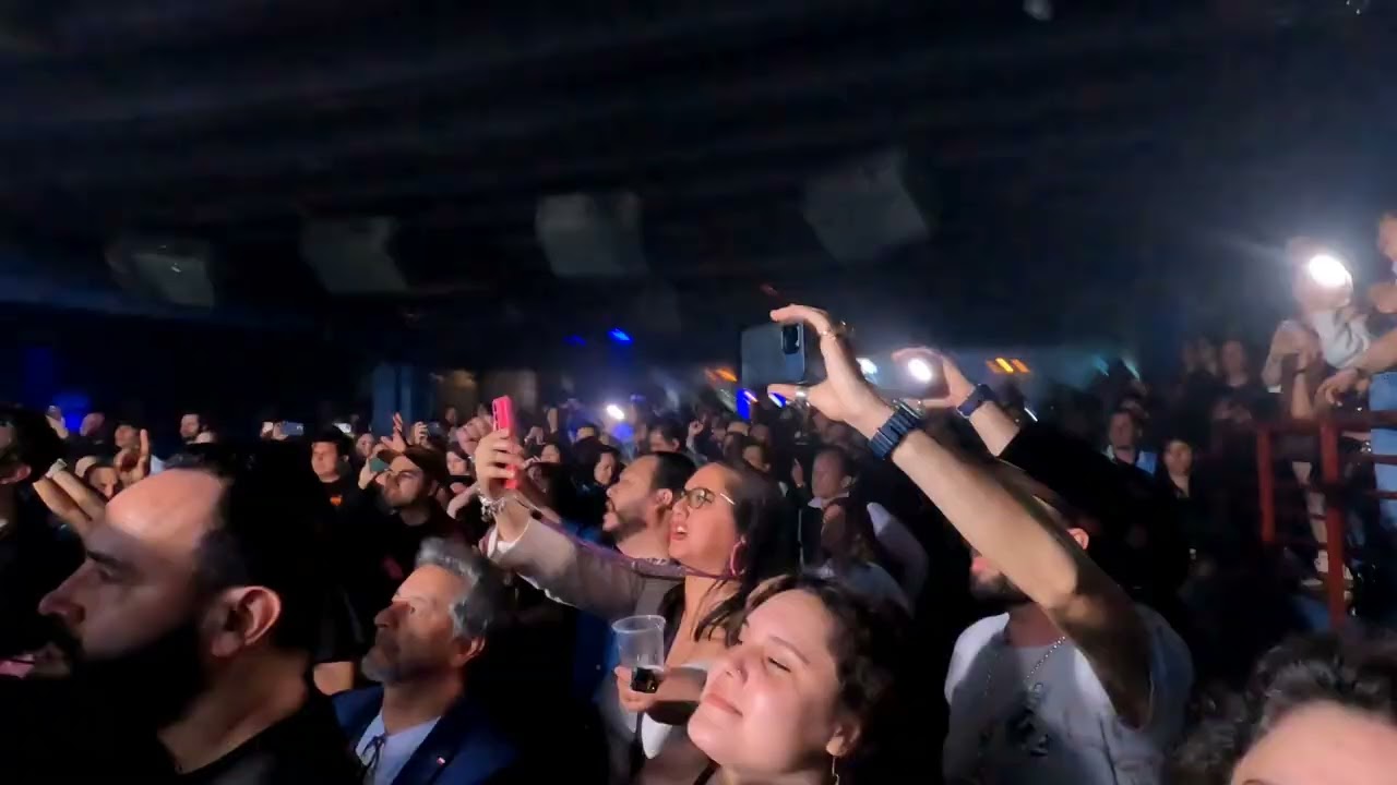 Elefante live dingwall candem Town