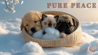 Sweet Lullaby for Deep Sleep ☁️ Cute Puppy Dreams (Infinite Loop) screenshot 1