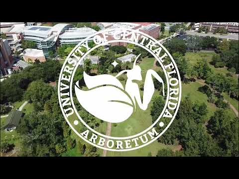 UCF Arboretum Park Bird's Eye View