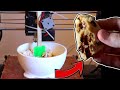 Making Cookies Using ONLY My 3D Printer (feat. CyberCandle)