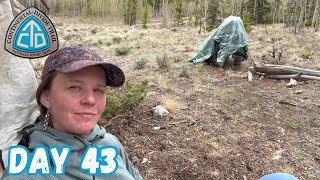 Day 43 | What Is A Thru Hike Again? | Solo CDT Thru Hike 2026
