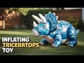 From Flat to Prehistoric! 💨🦖 Inflating My Triceratops in Nature 🌳