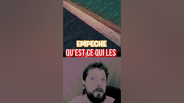 Pourquoi l'océan Atlantique et Pacifique ne se mélangent pas ? #faitssurprenants #wow