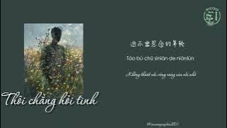 Thôi chẳng hỏi tình - 不再问情 || tuuvongxuyenlau18.07 || Vietsub/Pinyin || Nhạc hot douyin