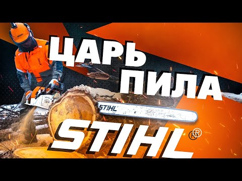 Самая большая в мире бензопила STIHL