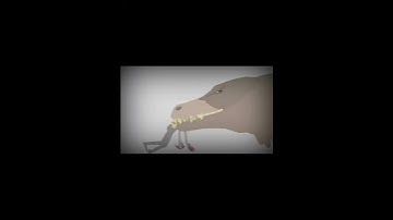 SCP-096 VS SCP-682💀💀💀 #Short #scpfundation