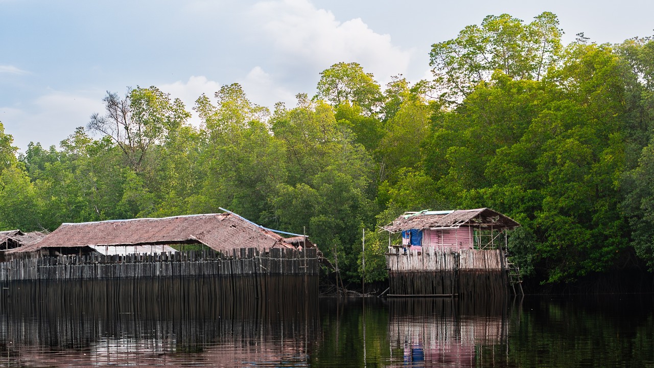 Mangrove Conservation Through Innovation: Crab & Tapered Fish Farming in Kubu Village