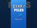 Shark Files ep 1. Veronica catches up with Shark Scientist, and friend Clinton Duffy #tigersharks