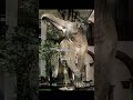 extinct creatures that once lived in your country (part 3)