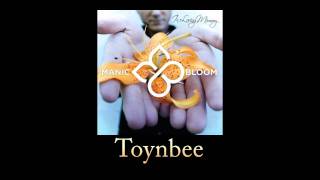 Manic Bloom - Toynbee (w/ Lyrics)