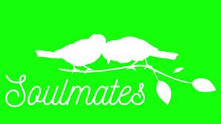 PASSARINHOS / GIF PASSAROS / GIF ANIMAÇÃO / PASSARINHOS NOS GALHOS / GIF# / DOIS POMBINHOS /