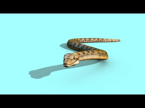 Green Screen Anaconda Snake Strip Attacks Dies - Footage PixelBoom CG