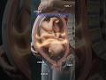 FROM 0 to 10 cm how the cervix opens for birth