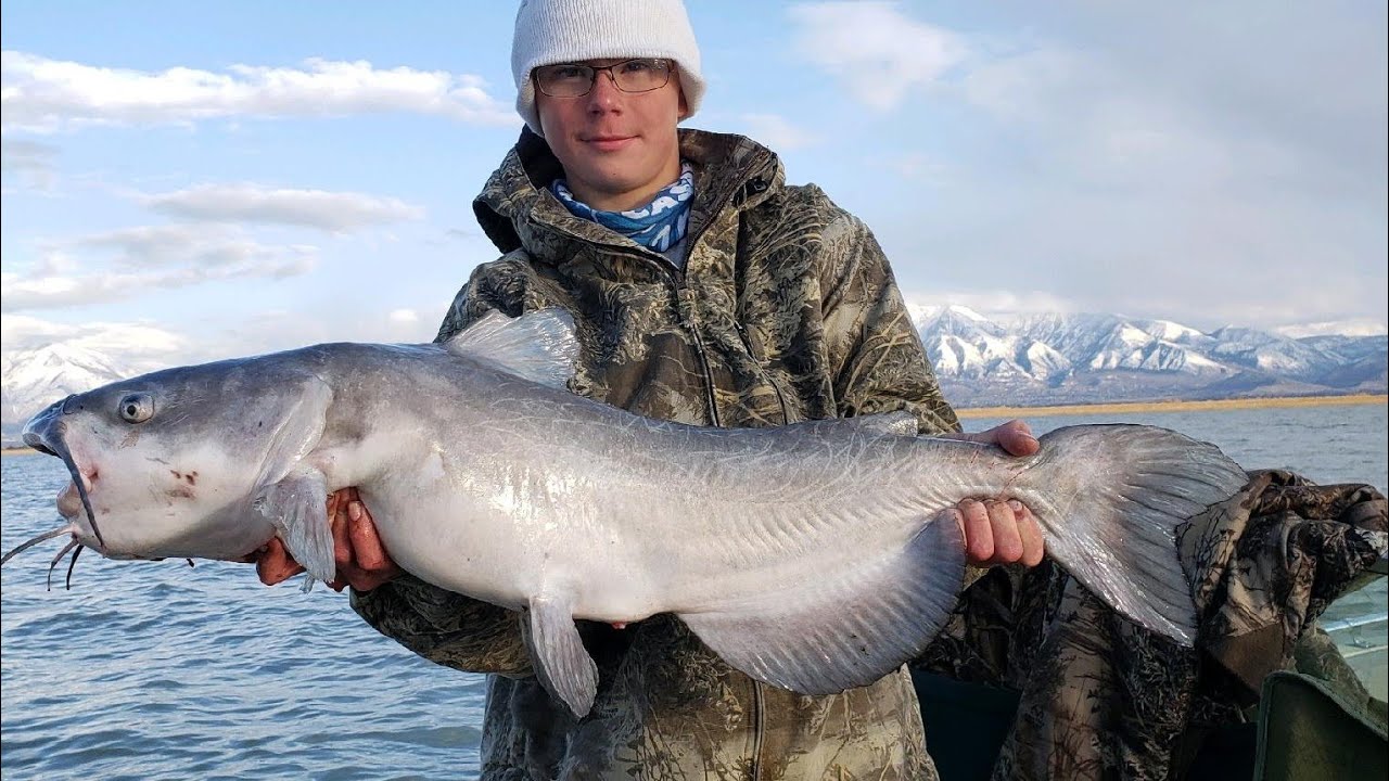 Utah Lake Early Season Spring Catfishing 2020. YouTube