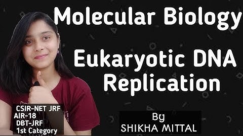 Eukaryotic DNA Replication - MOLECULAR BIOLOGY CSIR-NET JRF LIFESCIENCE