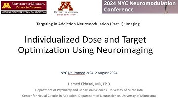 Optimization of Brain Stimulation Using Neuroimaging