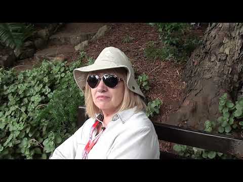 Park Kirstenbosch S