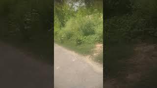 myre akho ny vhe vafa ka sapna