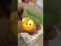 Vamos a la tiendita o que cho???? Video completo!!!!