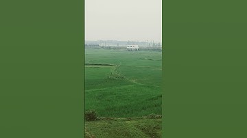 Thumbnail of 12 August 2025