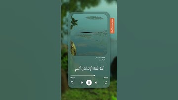 سورة التين
