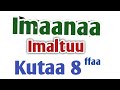 Sodaa Kennaa Fi Amiinaa Imaanaa Imaltuu Kutaa 8ffaa