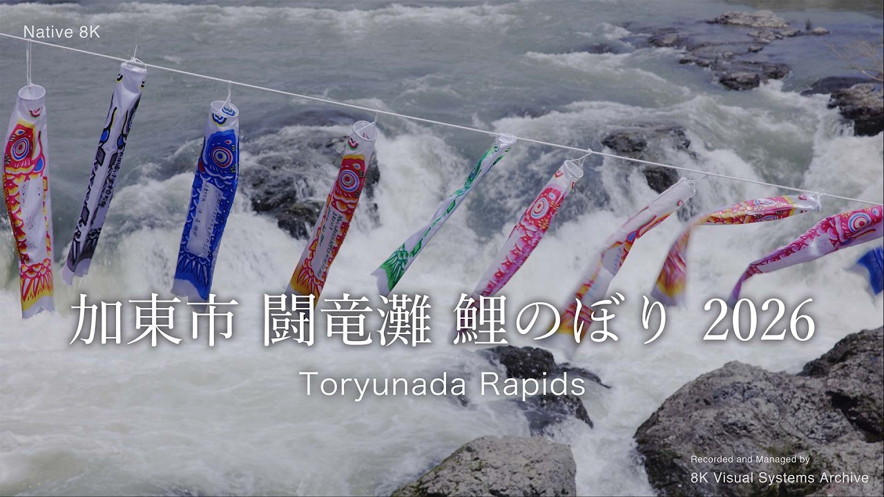 加東市 闘竜灘 鯉のぼり 2026｜Toryunada Rapids - YouTube