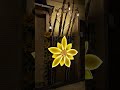 sweet Asmara cafe date tewexe zneberka subscribe keygeberka keythalf kkk..