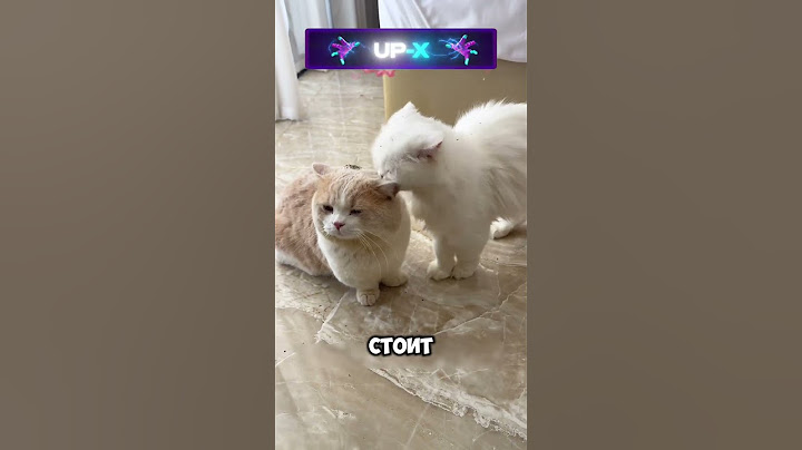 Мне нужен этот порошок 😳🤪